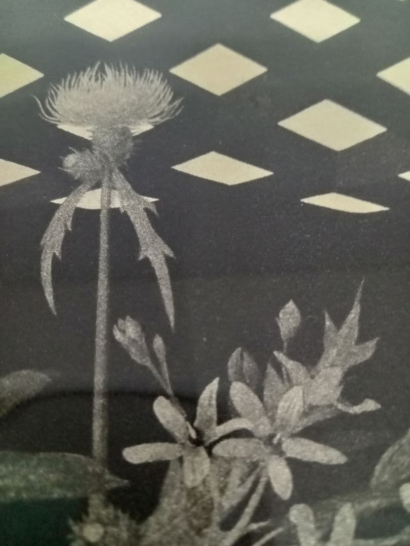 値下げしました❕　山内滋夫【時計草と青い花】額縁サイズ46×46×2.2cm