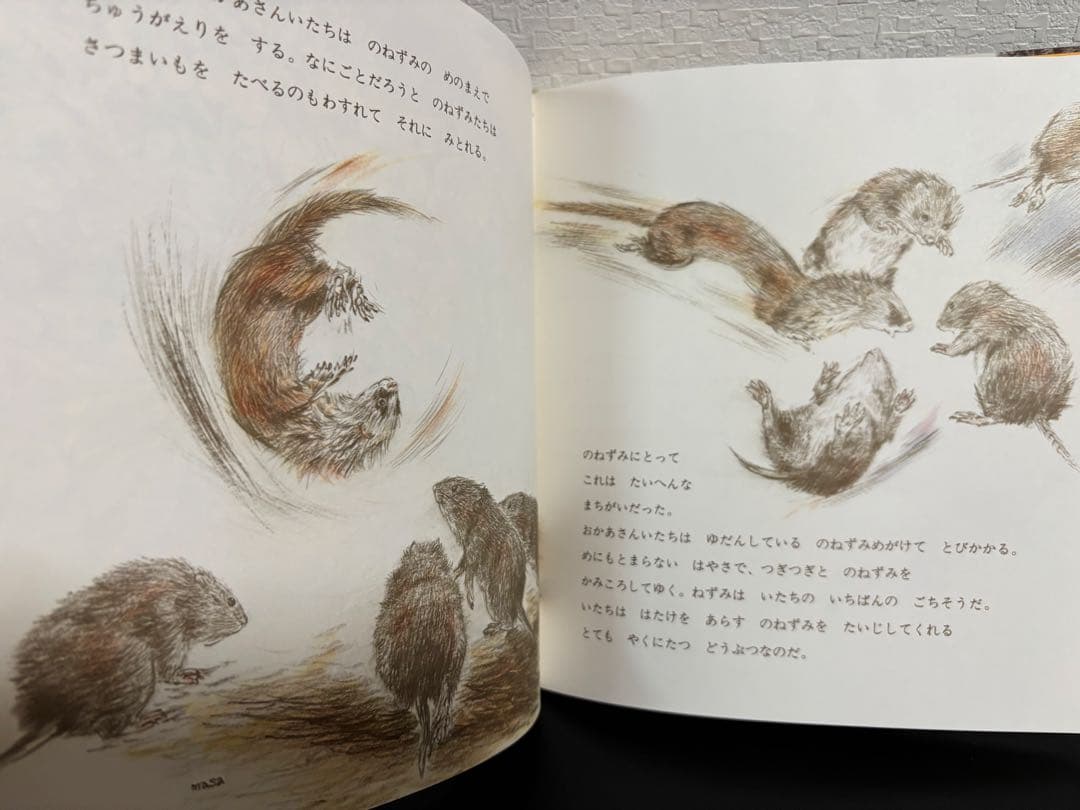 未使用・希少本 「 いたち 」 かがくのとも 特製版 吉崎正巳 1984年