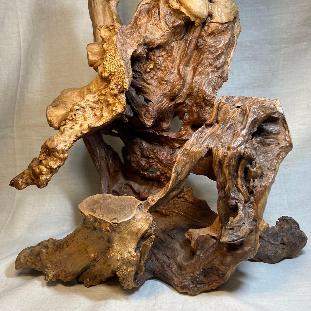 流木 天然木 置物 インテリア オブジェ - メルカリ