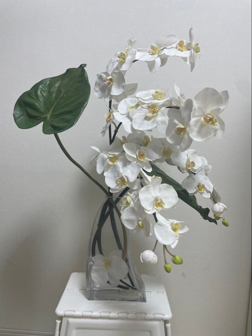 Aエミリオロバ ファレノプシス2L 胡蝶蘭 花 白フラワーアレンジメント 胡蝶蘭(ファレノプシス)のアートフラワー特集|エミリオ・ロバ公式