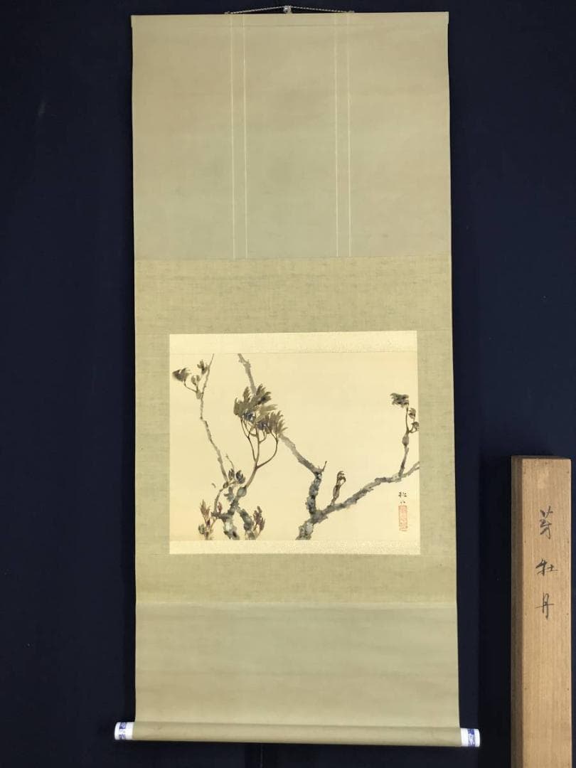 真作】藤井松山/芽牡丹図/牡丹図/花図/横物/掛軸☆宝船