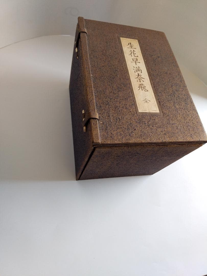 同梱お値引きします⭐生花早満奈飛生花早学生花早まなび復刻１０冊揃初版初版本