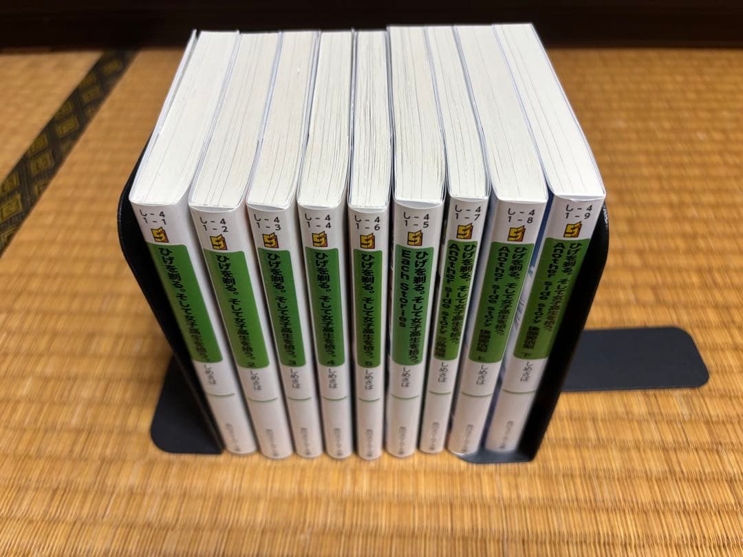 ライトノベルまとめ売り（タイトル毎のバラ売り可）