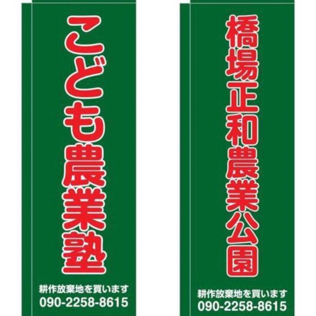 花乙女コレクション【山田幸見　かくれんぼ】購入金額より60％お値引き！！