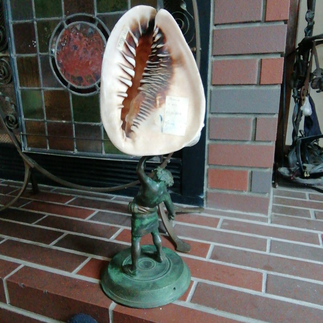 古典的な神話の彫刻貝殻と青銅スタンド
