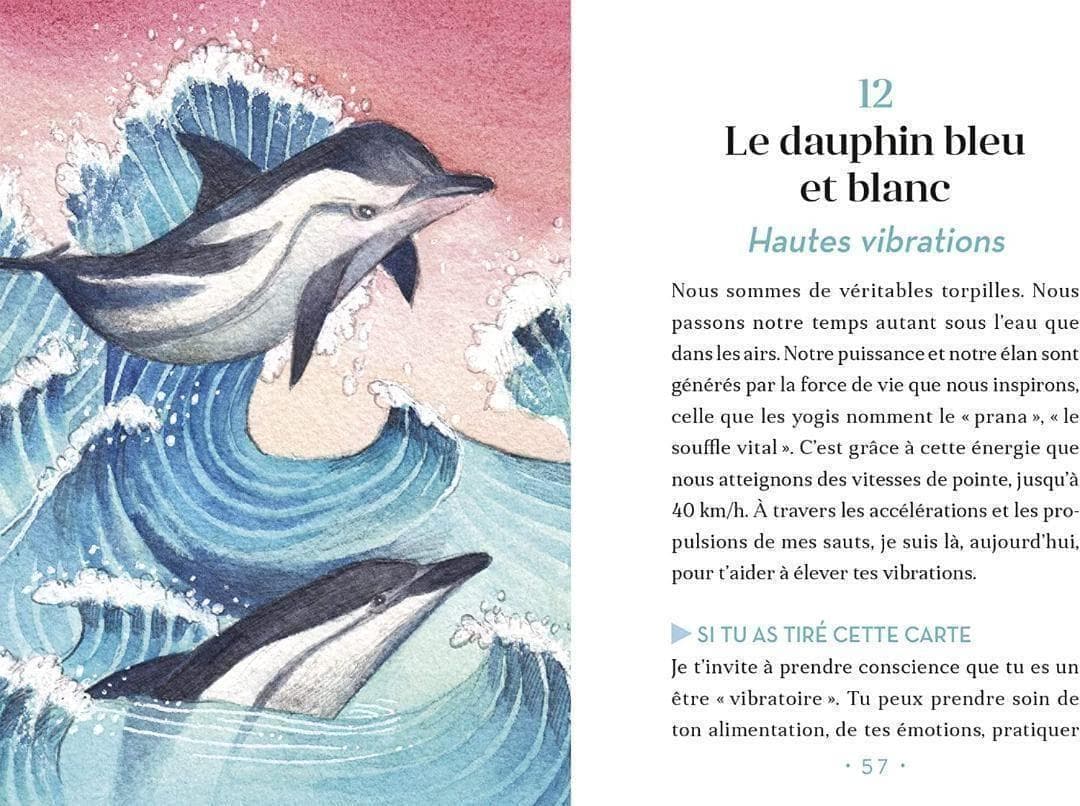 正規品オラクルカード】水彩画の美麗イラスト✨イルカやクジラに会える