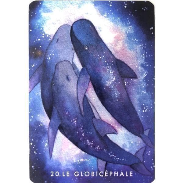 正規品オラクルカード】水彩画の美麗イラスト✨イルカやクジラに会える