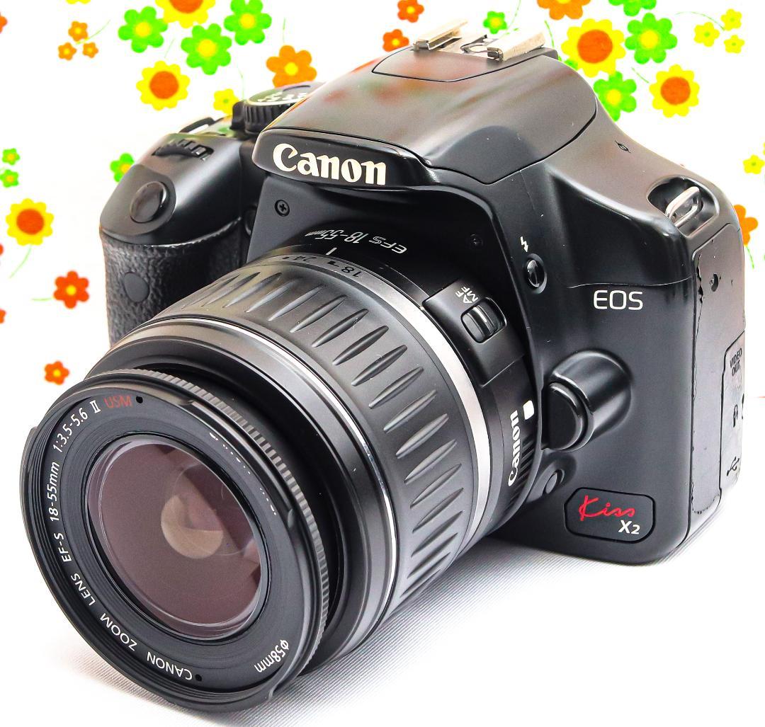 YONGNUO 50mm f1.4単焦点レンズ レンズフードおまけ付き