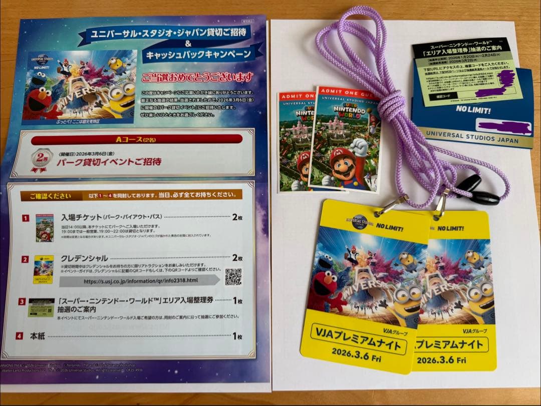 3/6 ユニバーサルスタジオジャパン 貸切ナイト 招待チケット2枚 - メルカリ