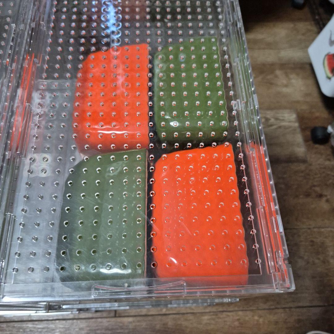 中古レプタイルボックス6個セット - メルカリ