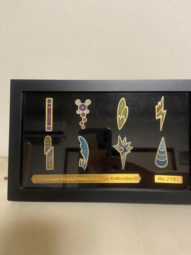 ポケットモンスター ブラック2・ホワイト2の ジムバッジコレクション