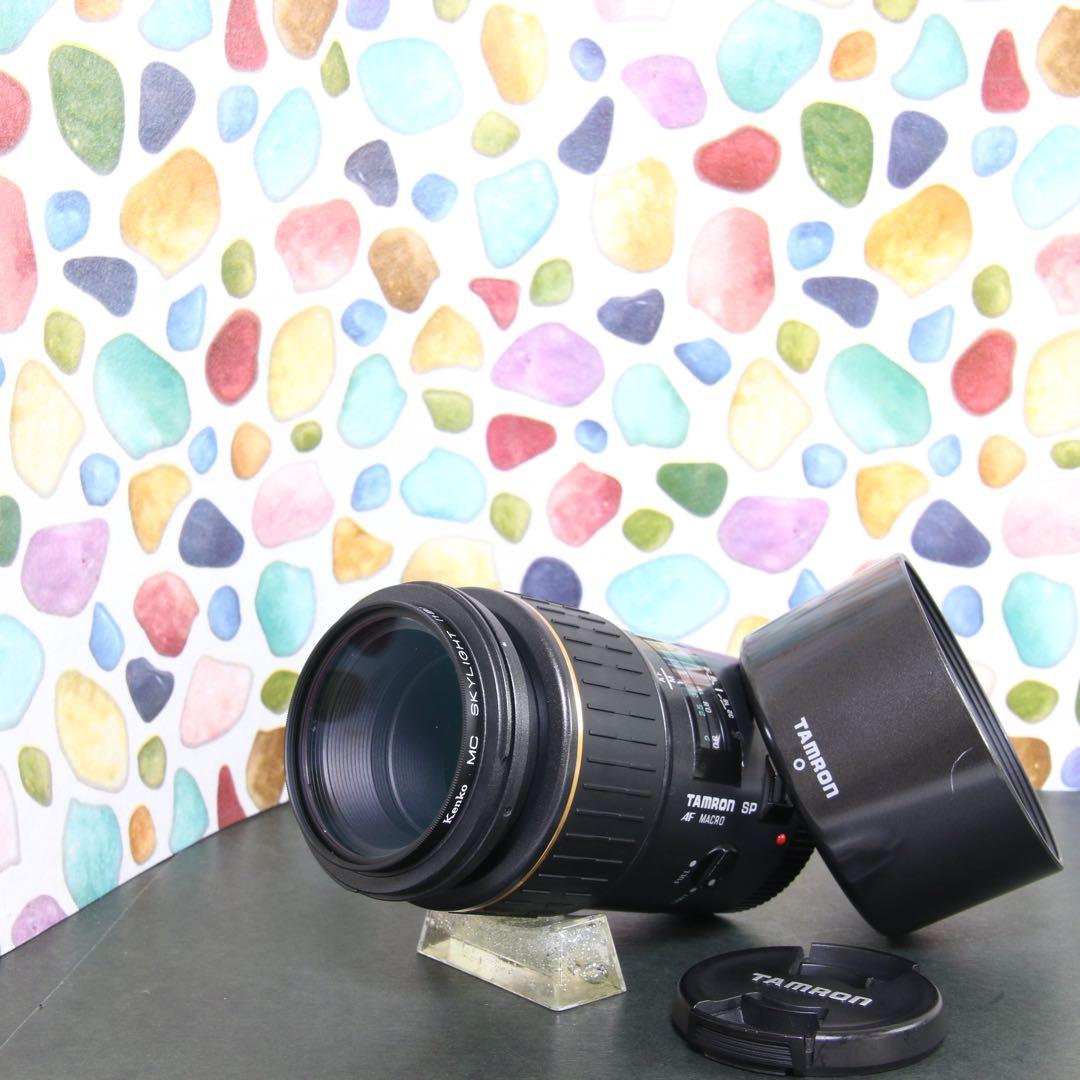 ♥︎◇美品 ◇フルセット ◇TAMRON 90ｍｍ F2.8 canon 72E Amazon | TAMRON 単焦点マクロレンズ SP AF90mm F2.8 Di MACRO 1:1