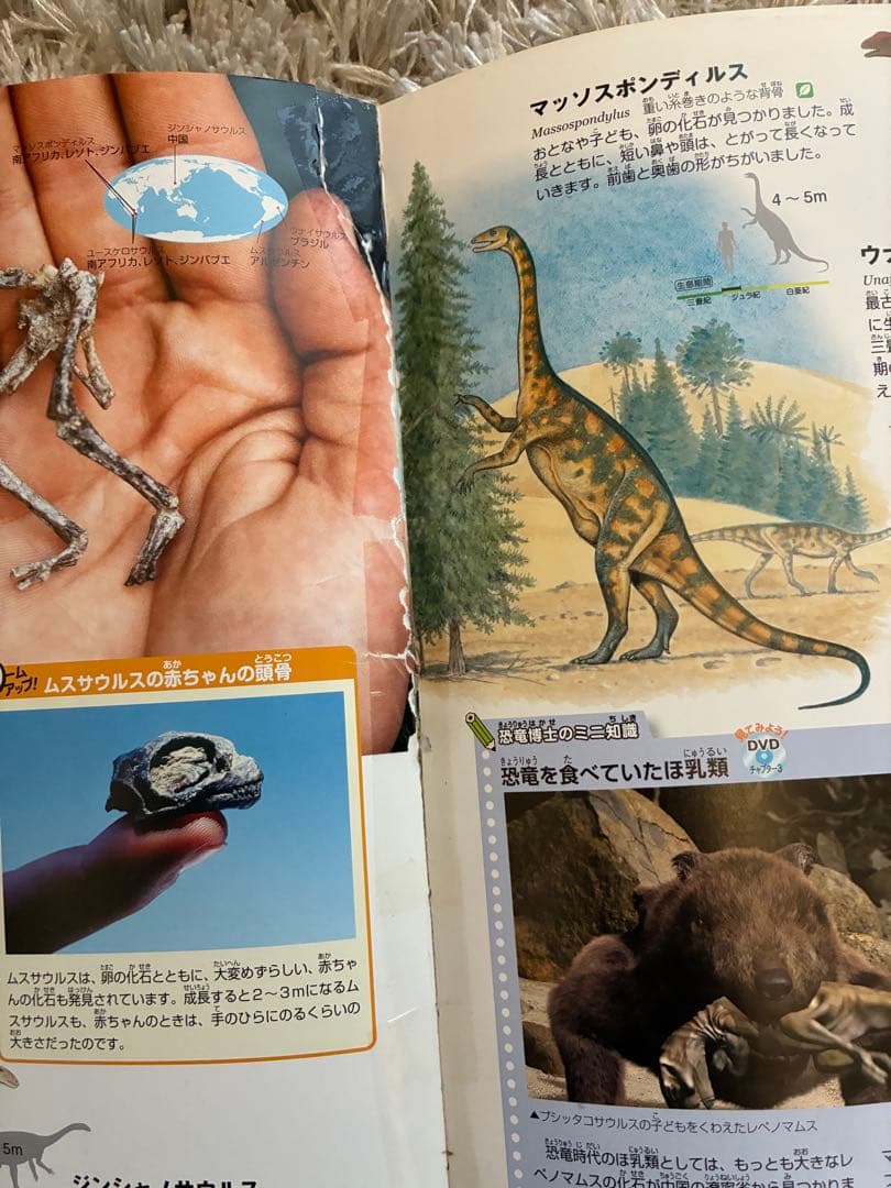 move 講談社の動く図鑑セット12冊世界の国ぐに図鑑つき - メルカリ