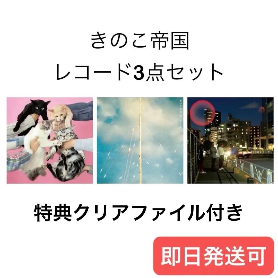 きのこ帝国 レコード 3点セット 猫とアレルギー タイムラプス 愛のゆくえ
