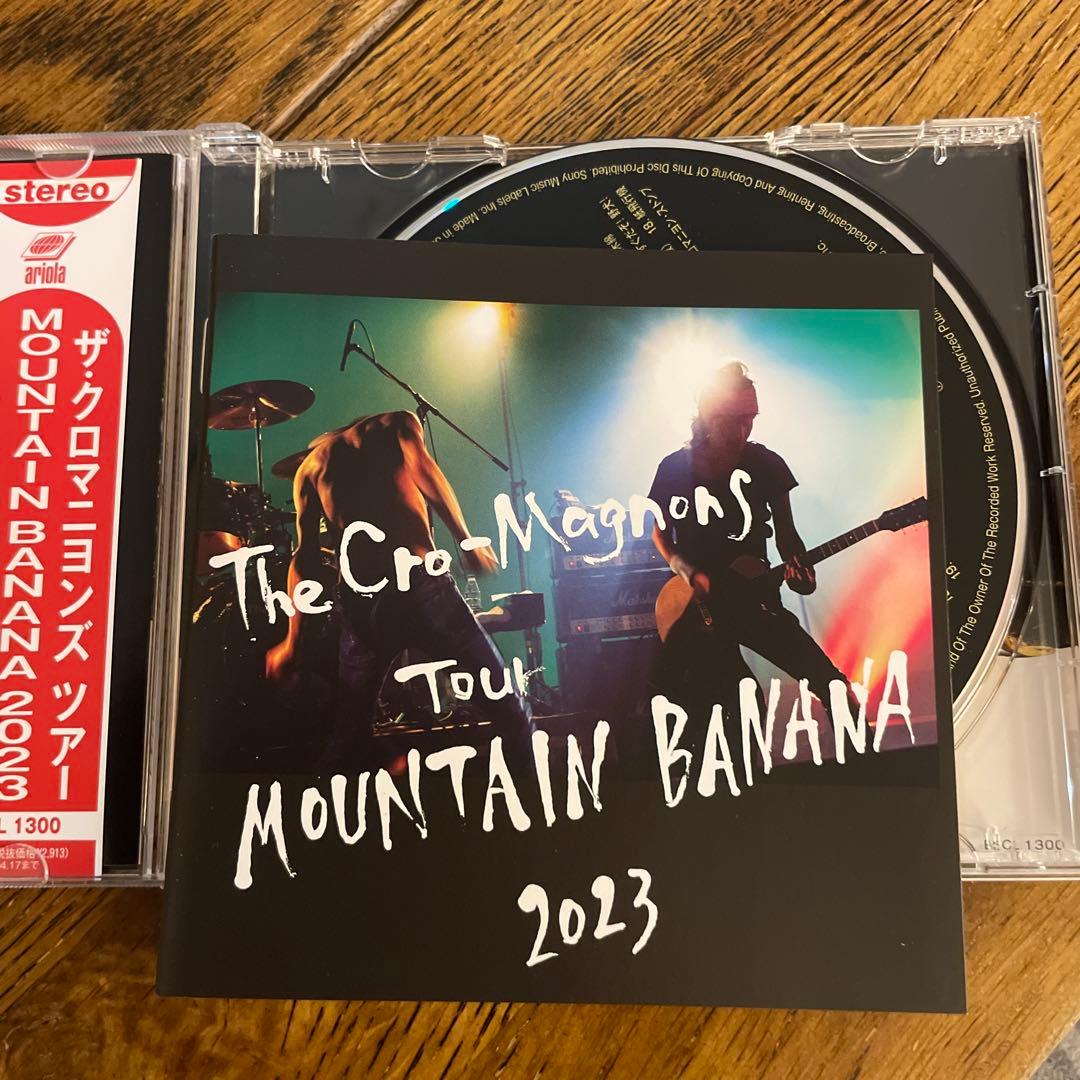 ザ・クロマニヨンズ ツアー MOUNTAIN BANANA 2023 美品 - メルカリ