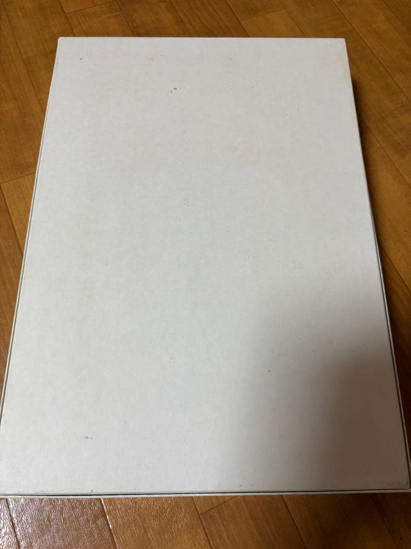 毱月絵美 ジグソーパズル 中古 - メルカリ