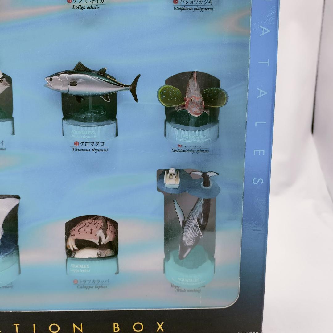 非売品】黒潮コメッコ 第2弾 販促用 BOX アクアテイルズ フィギュア