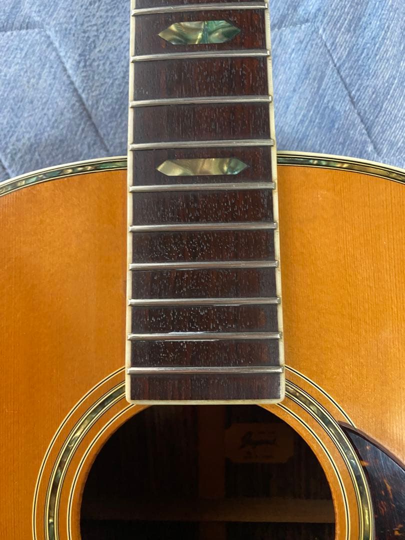 JAGARD VF600(VP60) バイオリンシェイブギター - メルカリ