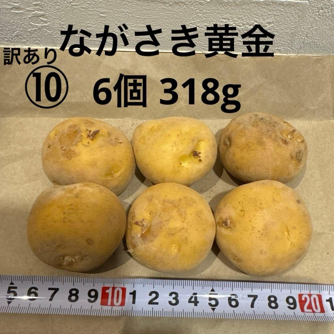 訳あり 10 希少 長崎こがね ながさき黄金 じゃがいも 種芋 6個 318g