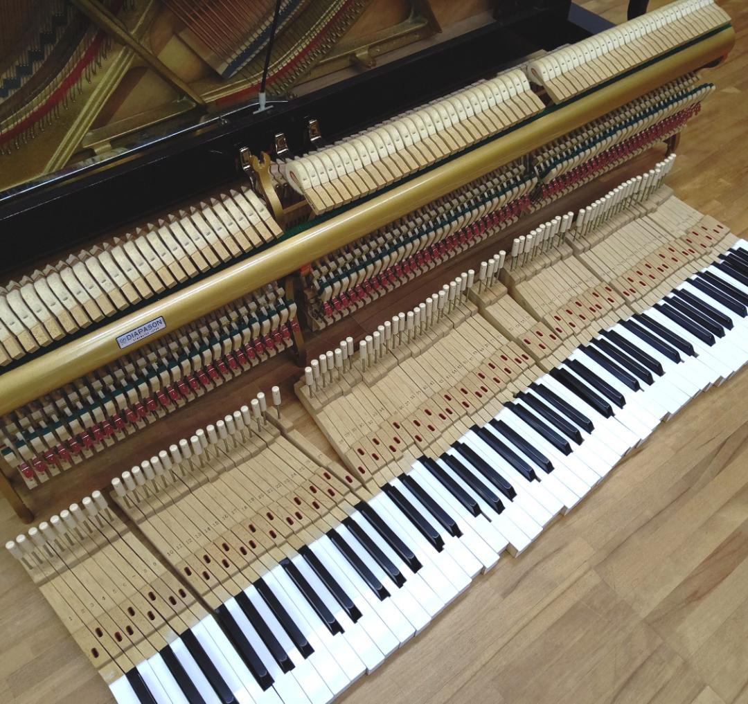 ディアパソン D-125MF【整調 /調律 /外装研磨美装済】試弾歓迎です！