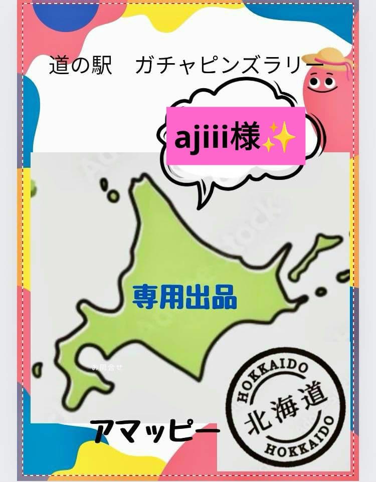 北海道　道の駅　ピンズレギュラー131駅 大滝村も入っております✨ 2026年最新】北海道道の駅フラッグの人気アイテム - メルカリ