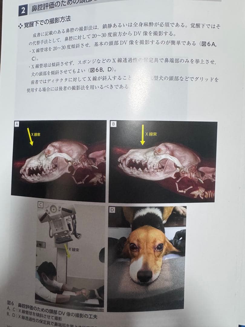 裁断済み 犬と猫のX線撮影ガイド