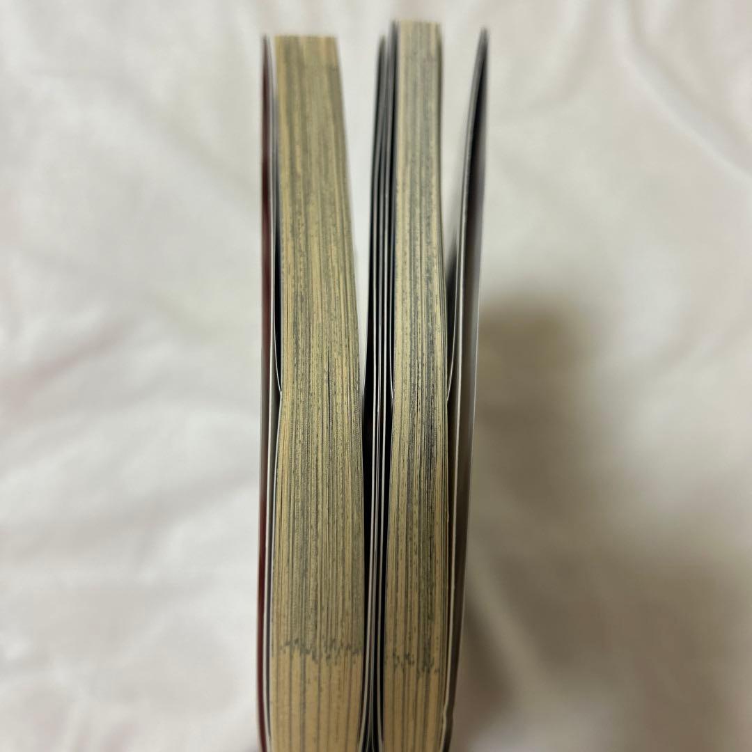 東方project 東方智霊奇伝 2冊セット - メルカリ