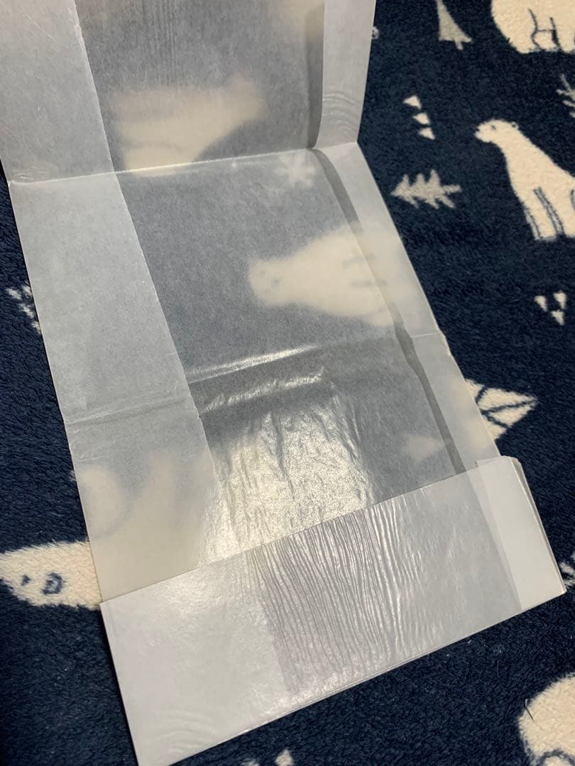 森の天使アンジー　全4巻セット　全初版