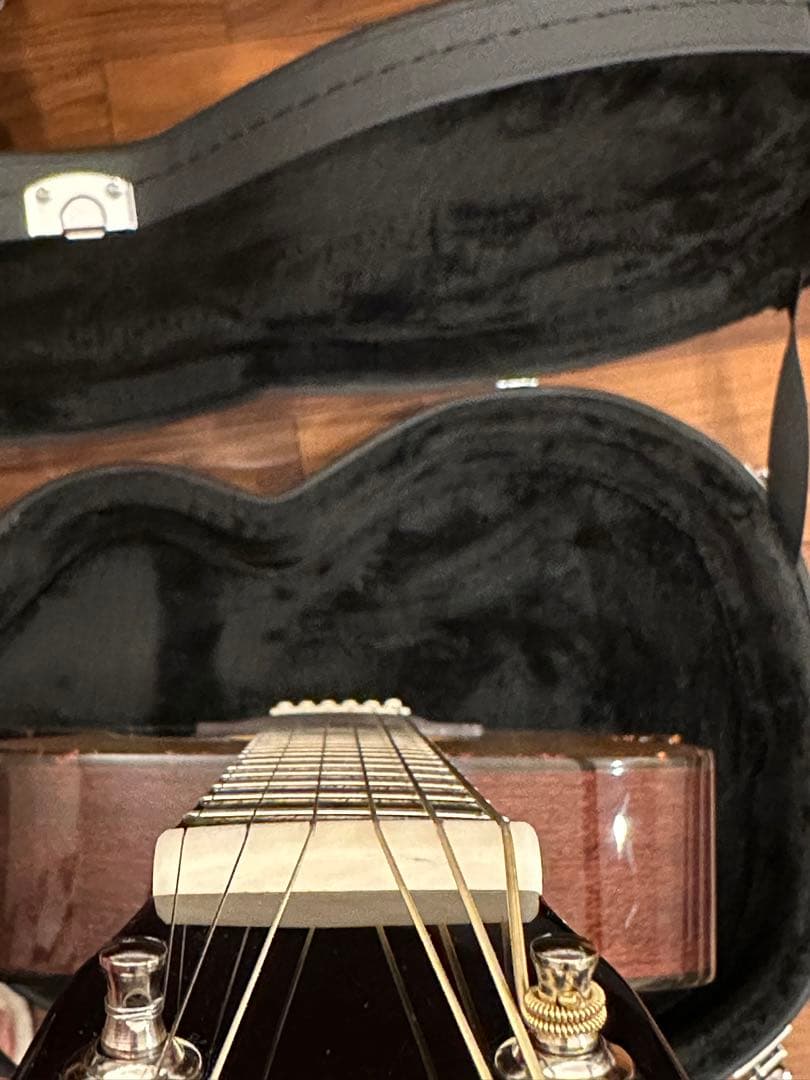 Recording King RO318 000-18 Gator ハードケース - メルカリ