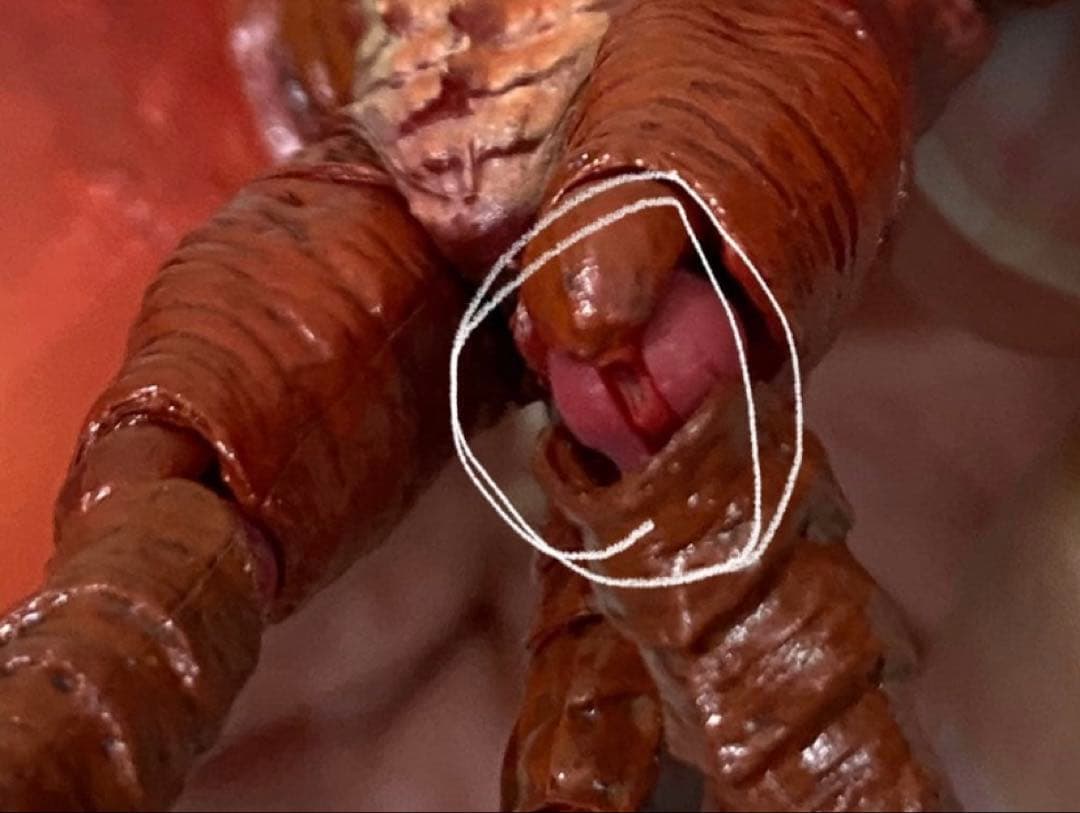 S.H.MonsterArts ファイヤーラドン