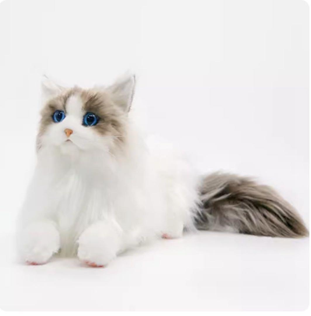 猫 ネコ ぬいぐるみ 置物 新品未使用 実物約50cm 楽天市場】猫 シャムネコ ぬいぐるみ 置物 ねこ ネコ リアル 猫 置物