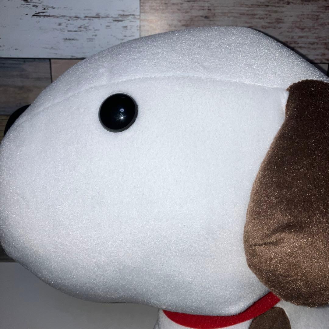 リトルチャロ BIG ぬいぐるみ 新品 タグ付き - メルカリ