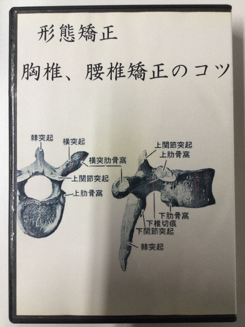 徒手療法協会 花山形態矯正 DVD5巻セット計６枚 整体 モルフォセラピー