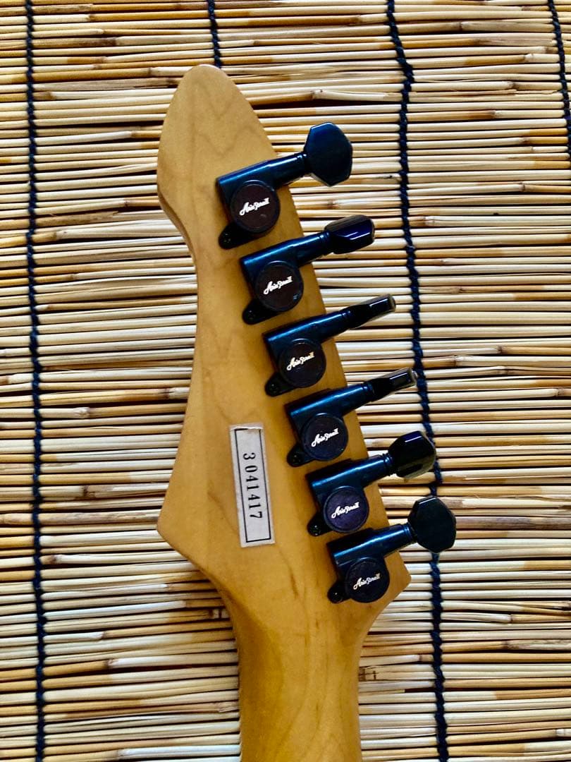 ☆値下済☆杢目が綺麗な美品　Aria ProⅡ をモディファイして新機能満載