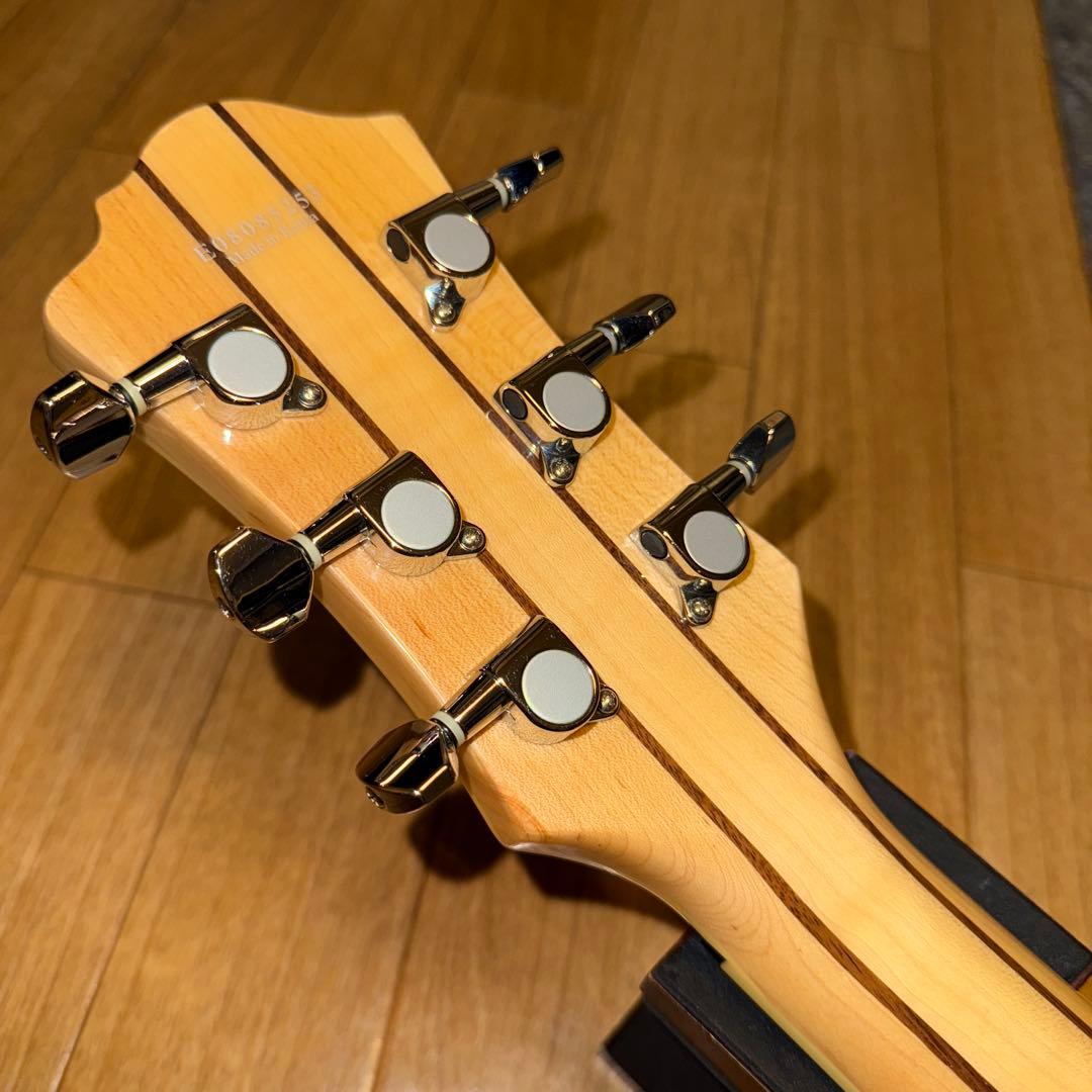 B.C.Rich EXOTIC CLASSIC BICH 純正 ギグバッグ 付き