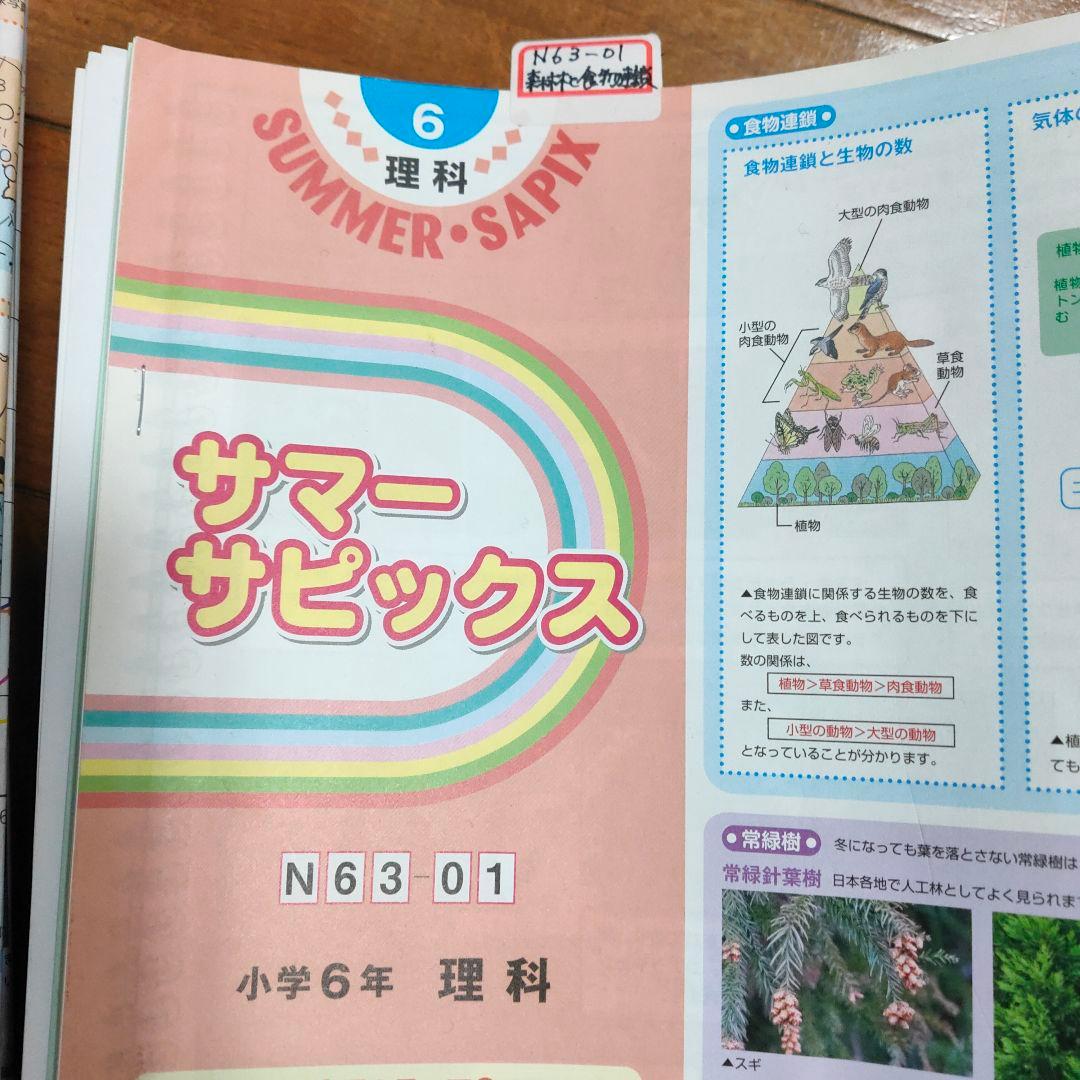 サピックス SAPIX 小学6年 理科 授業 教材 コアプラス - メルカリ