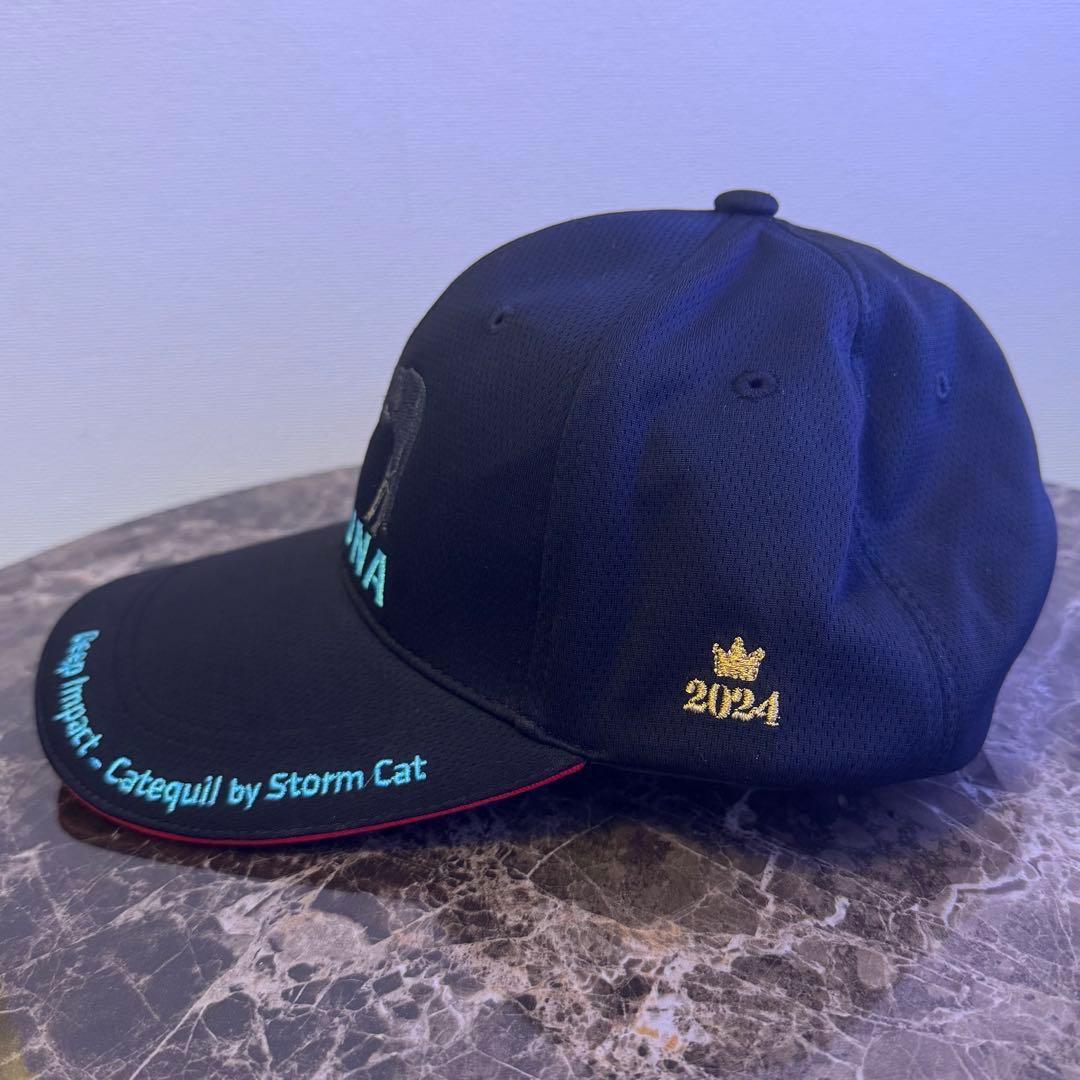 無*汁様 KIZUNA 2024 ブラックキャップ