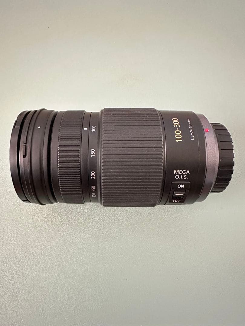 レンズ(ズーム) Panasonic LUMIX G VARIO 100-300 F4.0-5.6