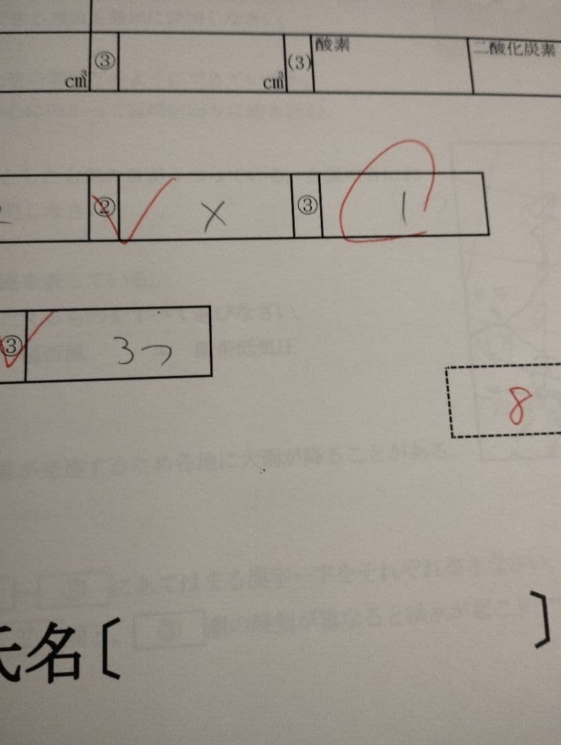 早稲田アカデミー NNJG そっくりテスト問題集 4教科×6回 - メルカリ