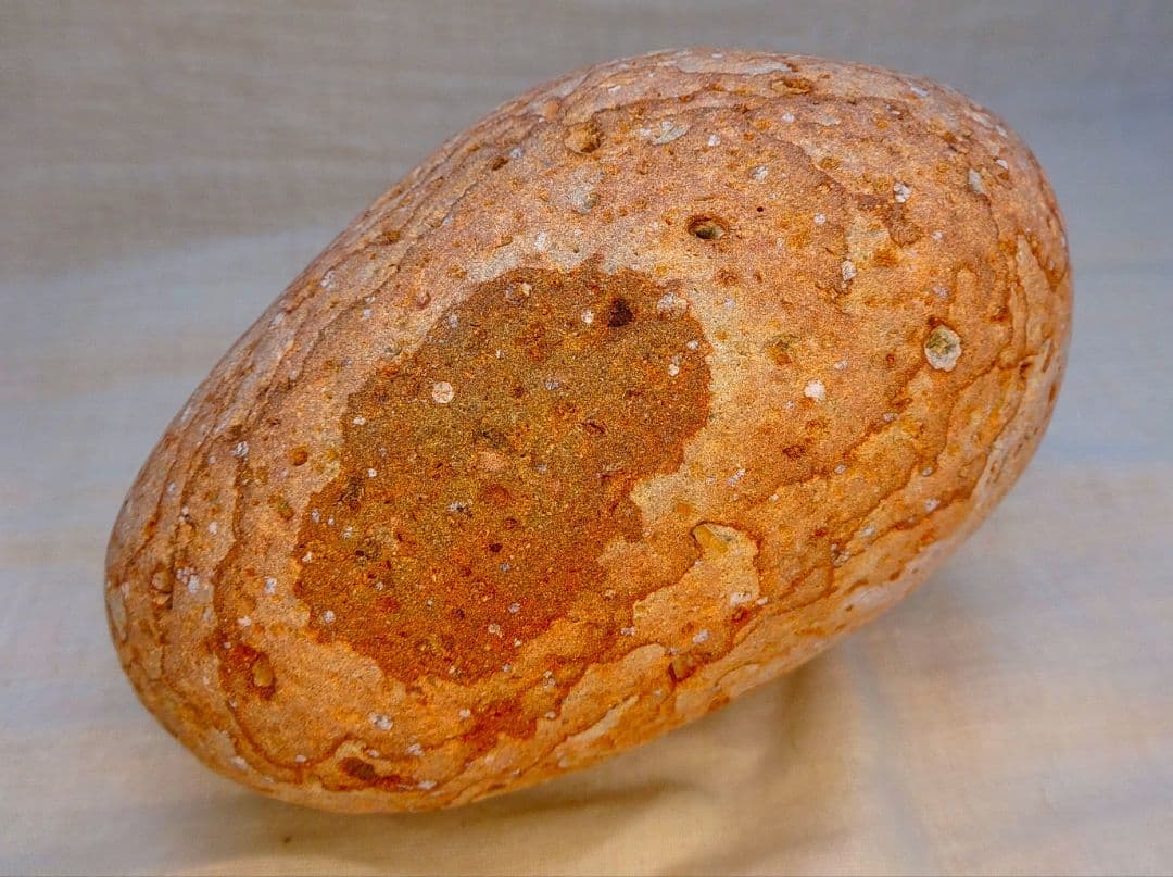 超レア!!姫川薬石赤虎(15)