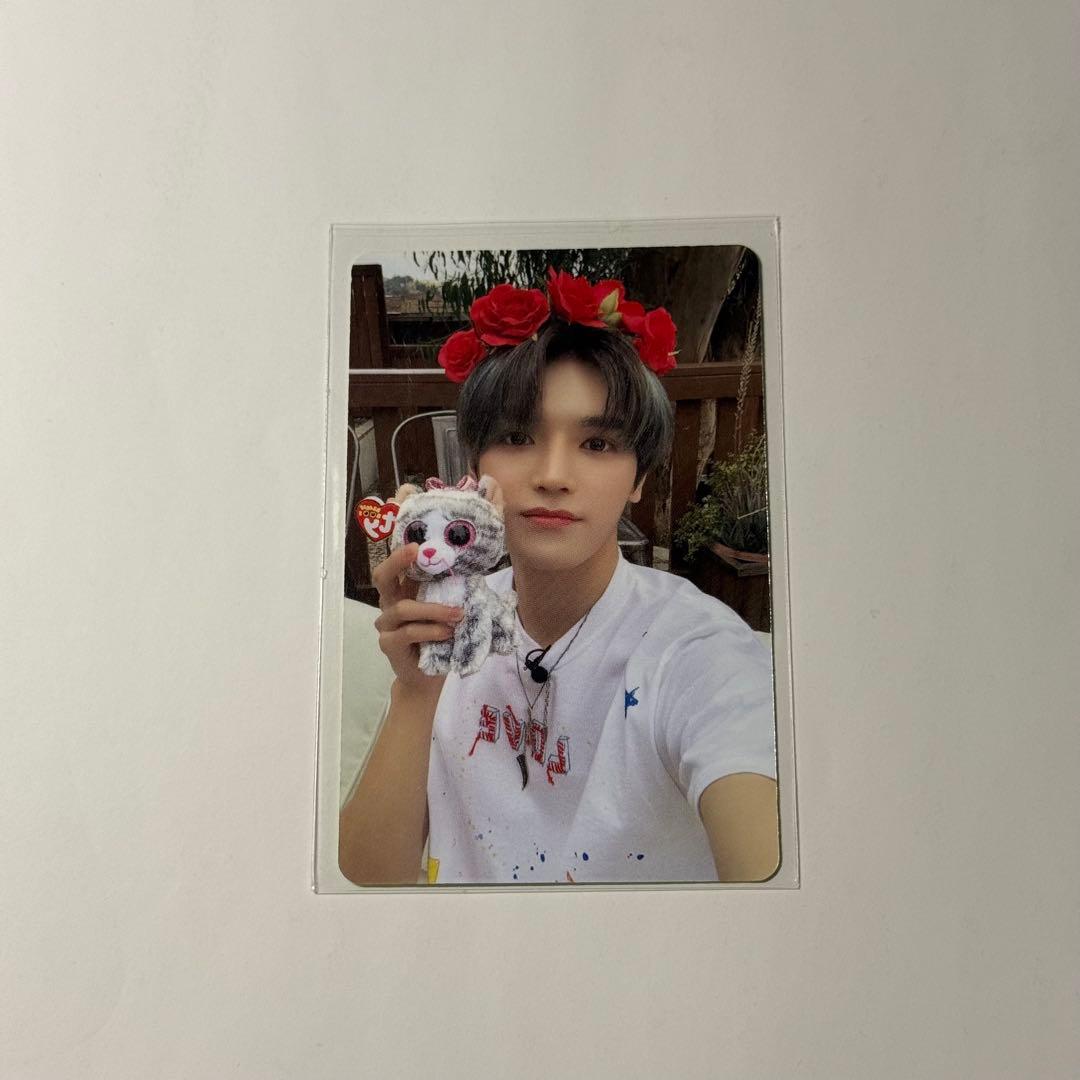 テヨン トレカ - メルカリ