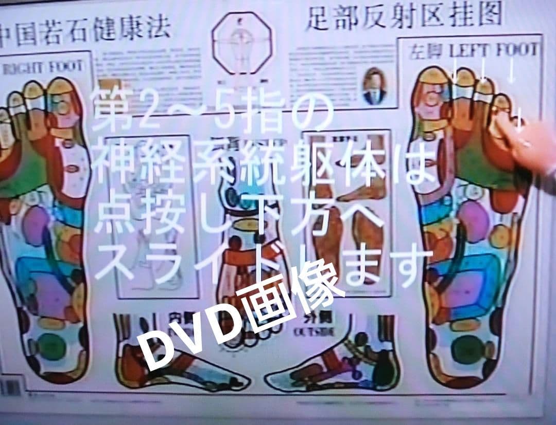 A6:足つぼ（DVD）学ぶ・足部反射療法自己練習用基礎編プロの教材set