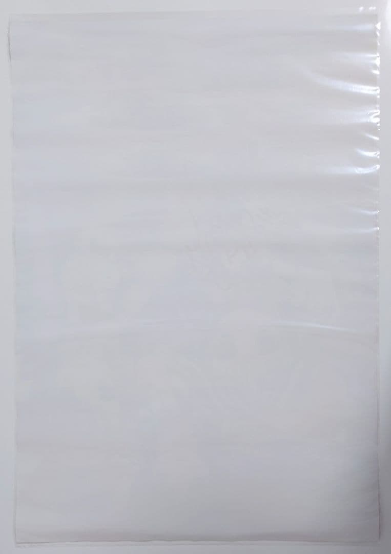 希少 スマイル☆シューター 五十嵐裕美 直筆サイン入り B2 ポスター