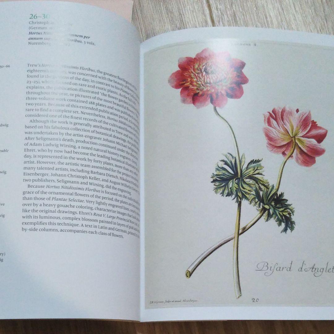 図録『永遠に花咲く庭 17ー19世紀の西洋植物画』