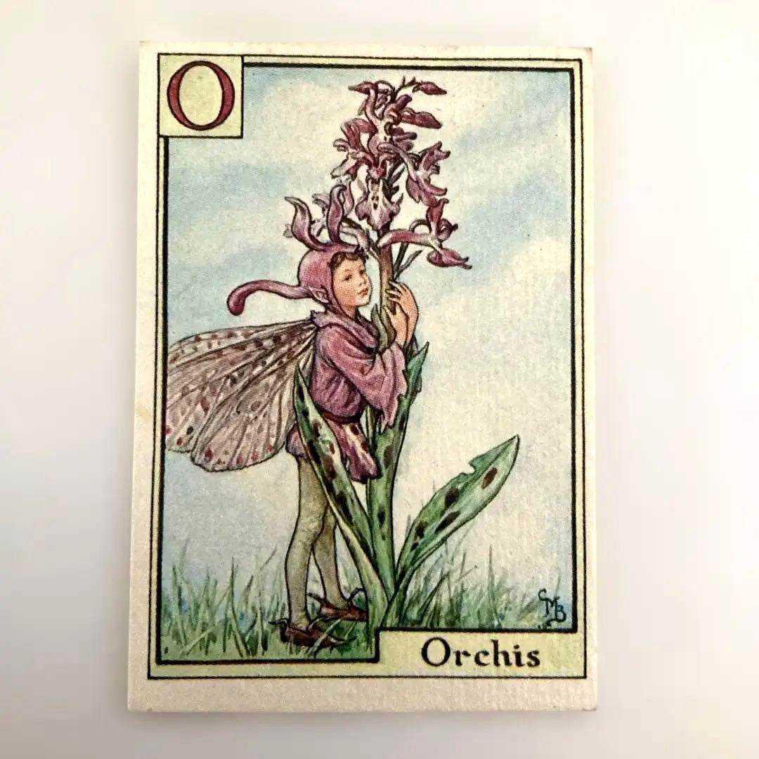 フラワーフェアリーズカード4枚 （ハイクラウンチョコのおまけ