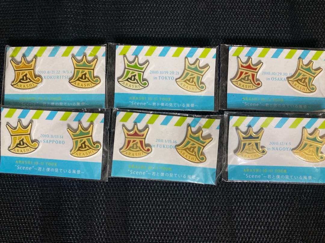 嵐 君と僕の見ている風景 ピンバッジ 札幌 国立 名古屋大阪福岡東京 6