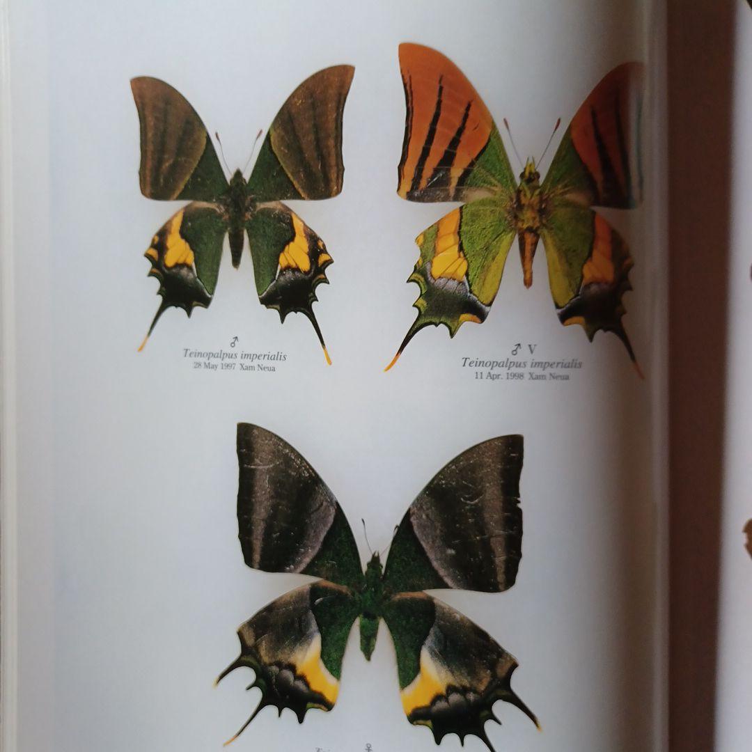 蝶の本 ラオス蝶類図譜 - メルカリ
