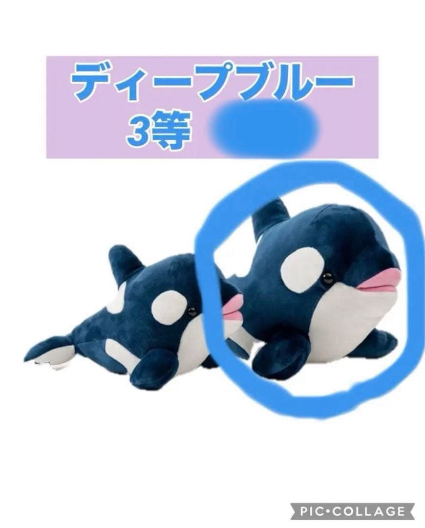 神戸須磨シーワールド オルカくじ限定カラー ディープブルー3等 シャチ