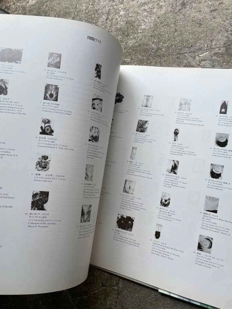 大型本 オキーフ画集 「花」 100頁 ニコラス・キャラウェイ/編・著