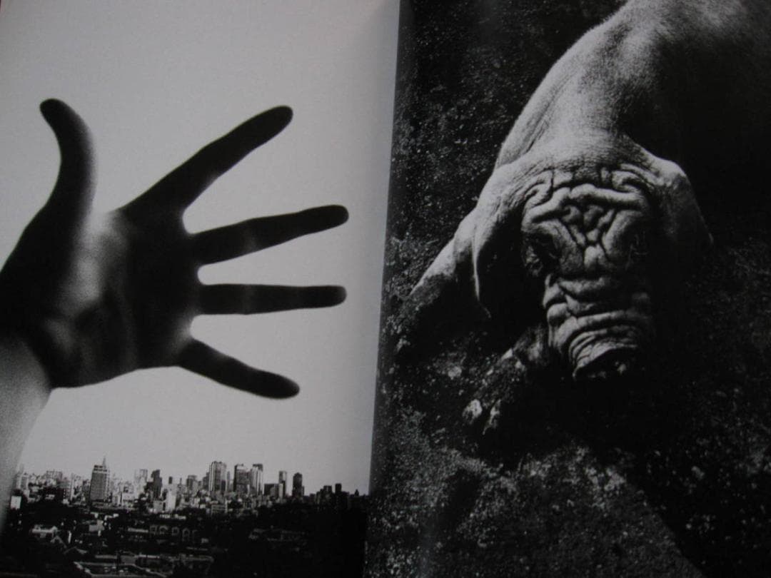 Daido Moriyama The World through My Eyes - メルカリ